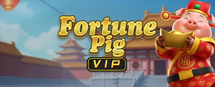 Fortune Pig VIP